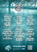 BREZOI BLUES FEST 2022.jpg